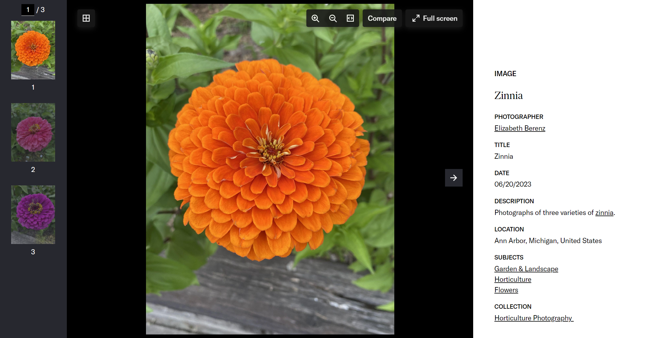 Compound object as displayed on JSTOR