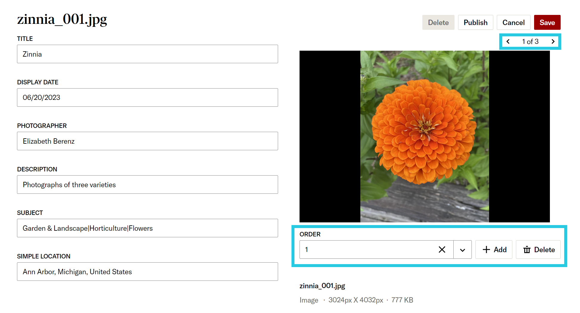 Compound object editing interface