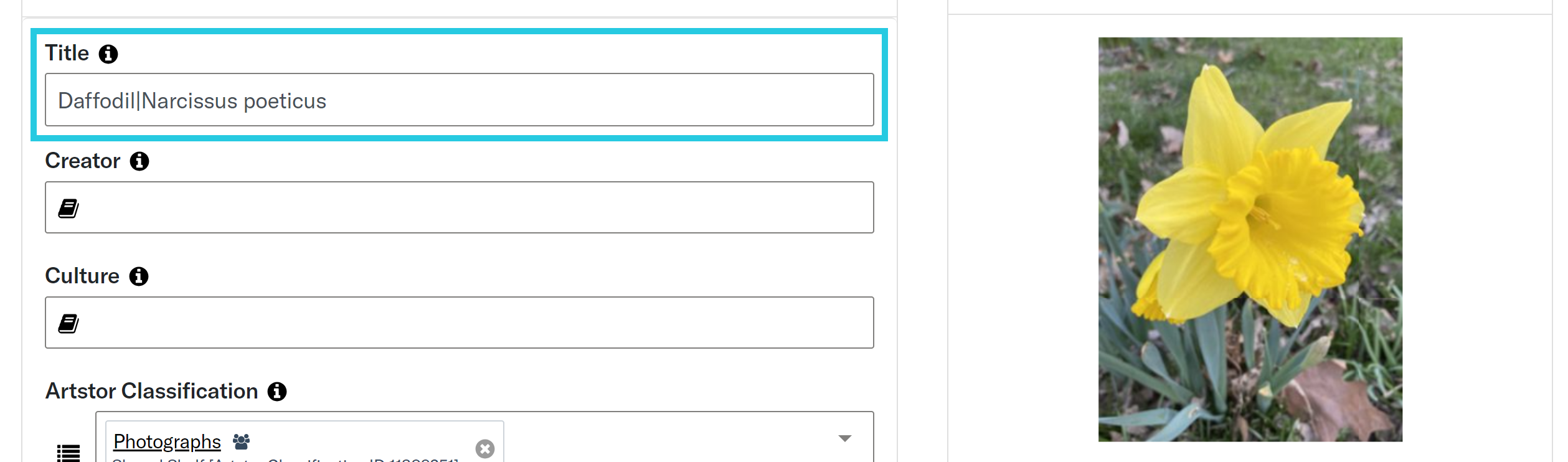 Separating titles with a pipe character in a text field