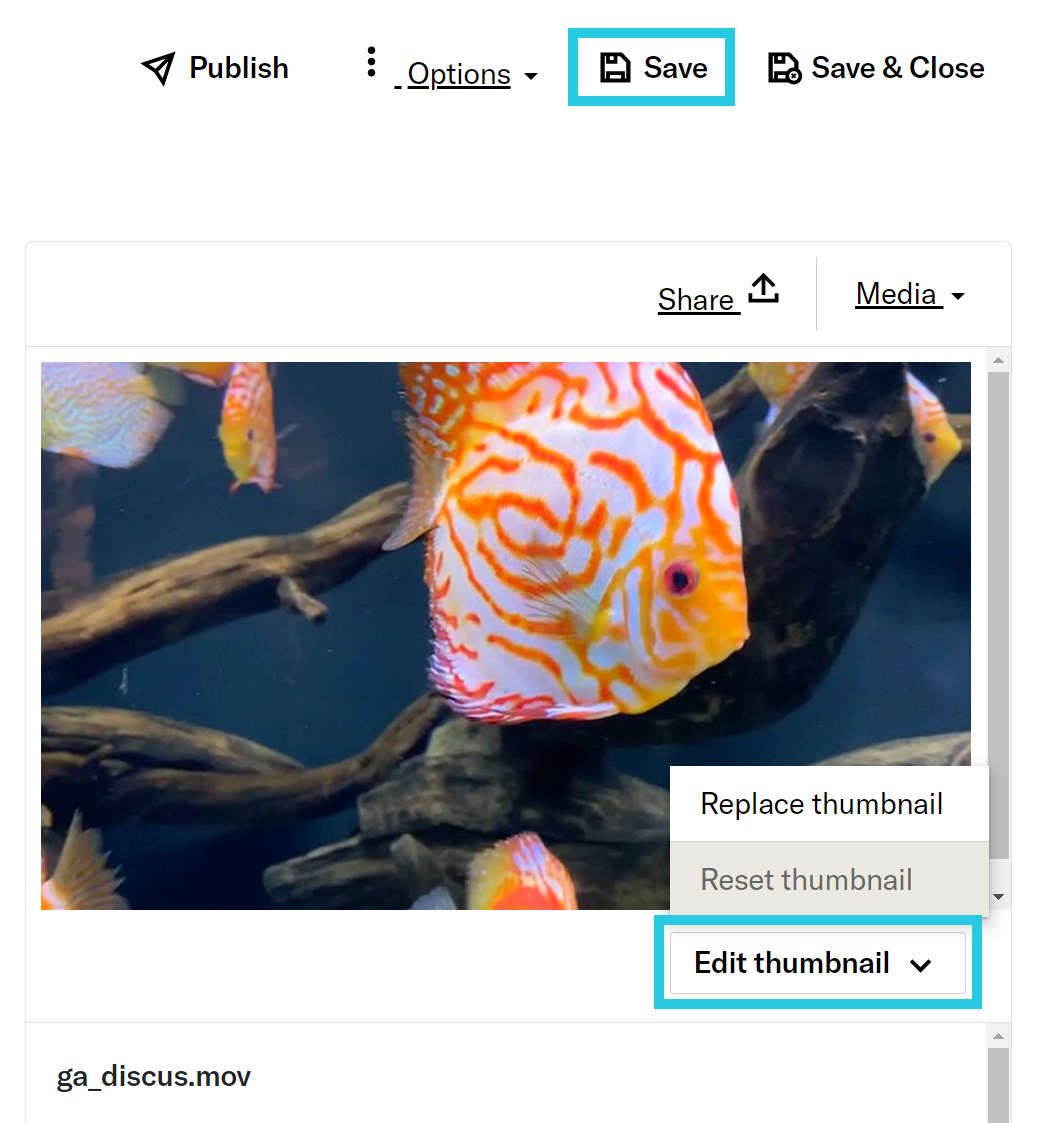 Edit Thumbnail menu after media preview