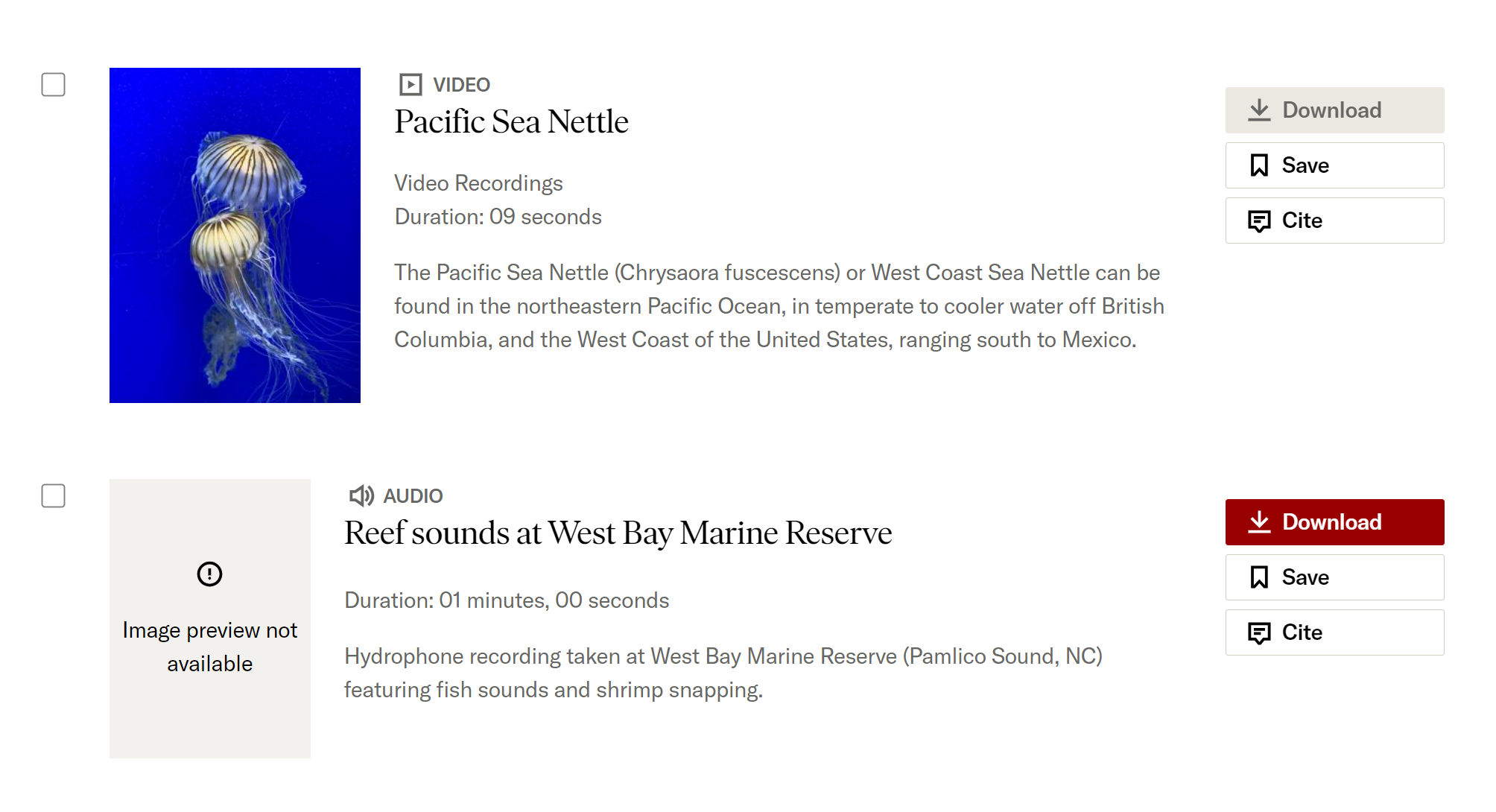 Video thumbnail and audio placeholder thumbnail as displayed on JSTOR