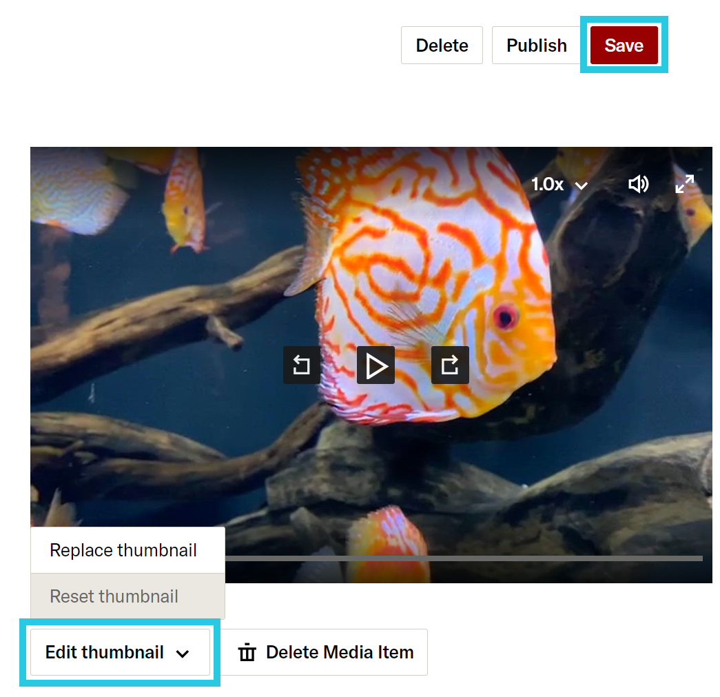 Edit Thumbnail menu after media preview in Collection Loader