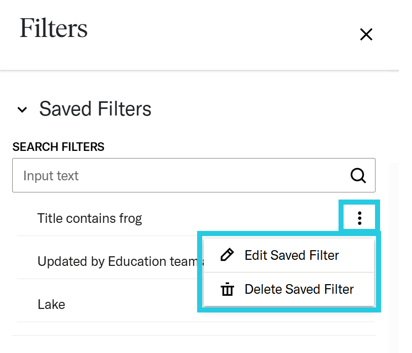 Overflow menu for saved filter in Filters panel