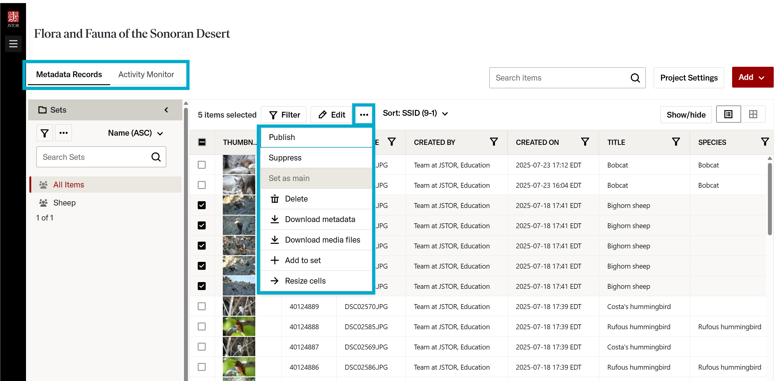 More item actions drop-down menu when viewing a project