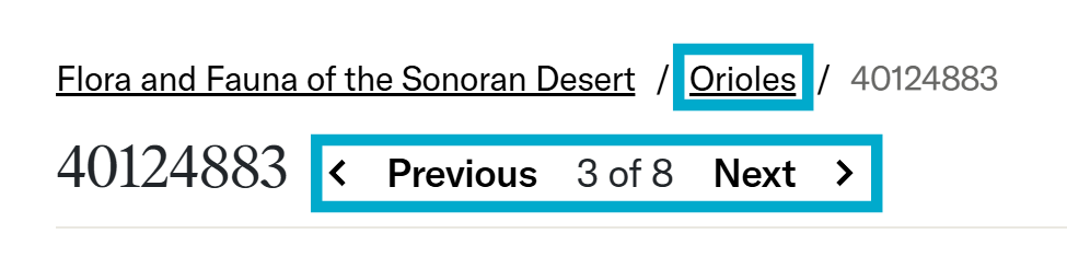 Previous and Next in set buttons and full set breadcrumb navigation