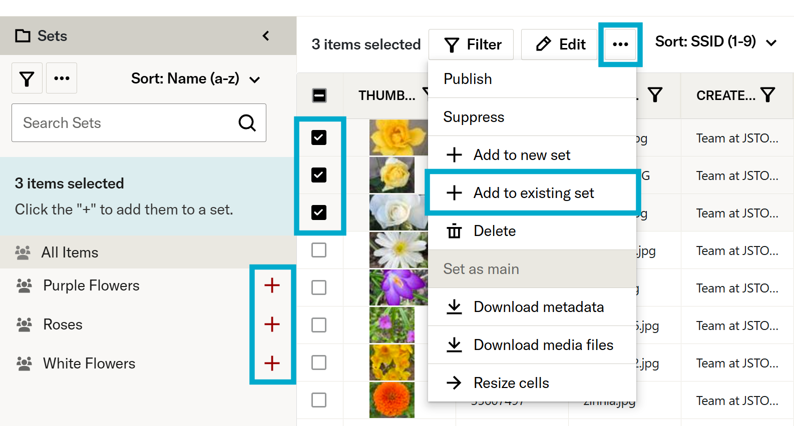 Add to existing set in overflow menu