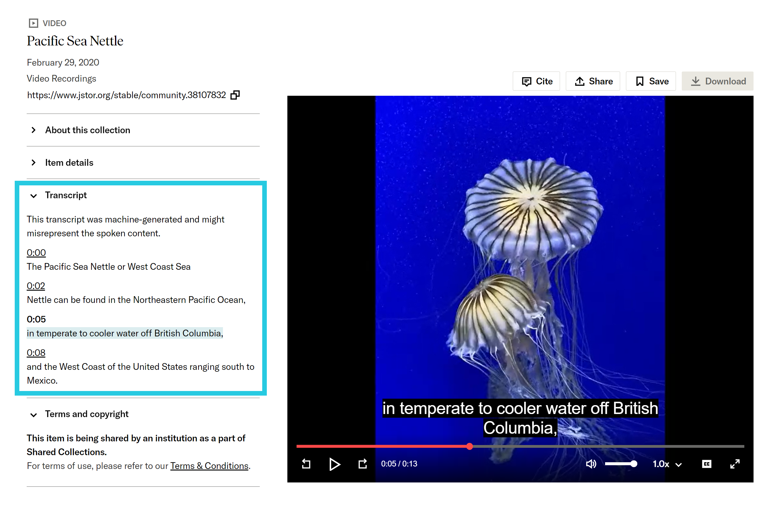 Timestamped transcript displayed in video item metadata on JSTOR