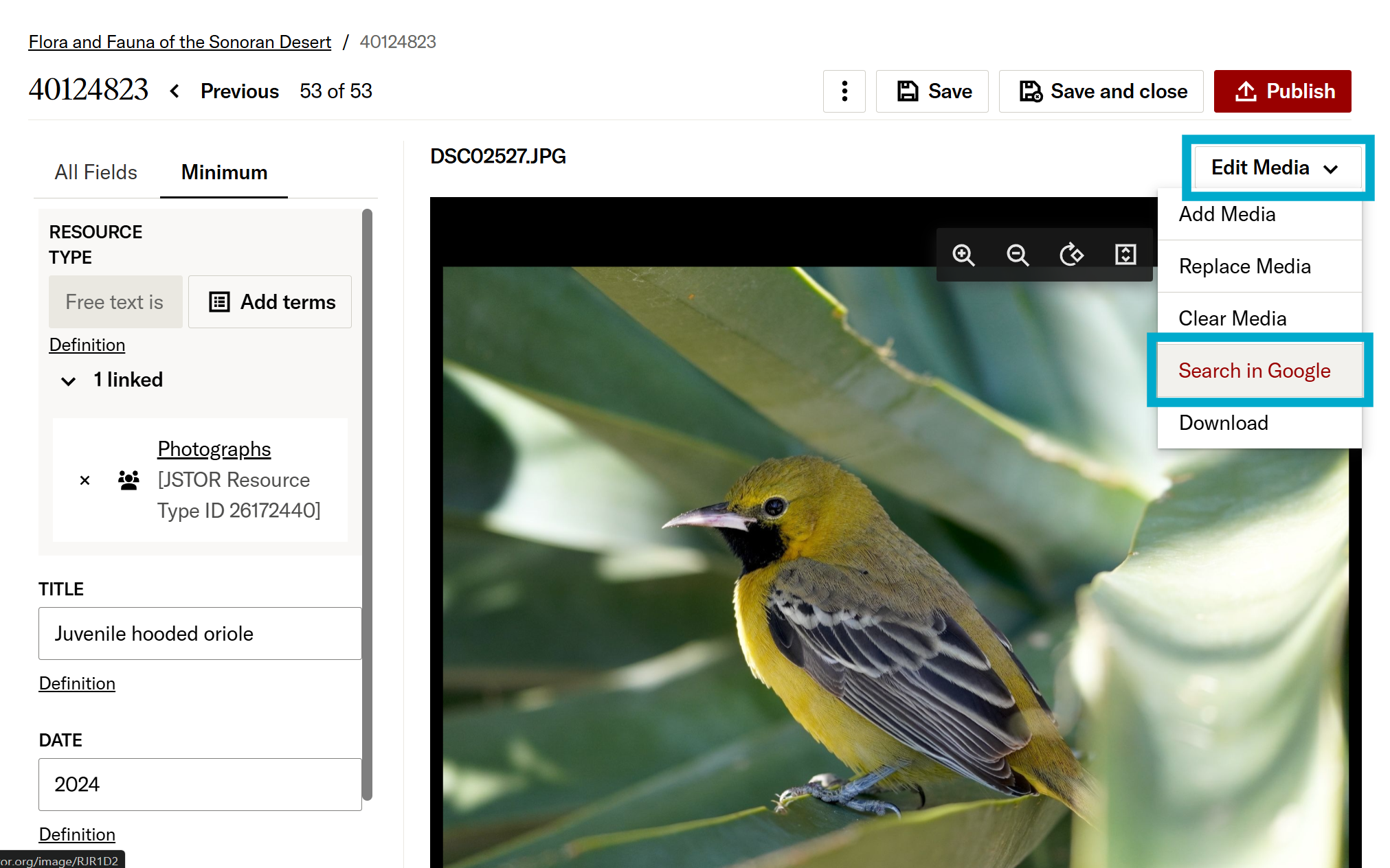 Search in Google option in the Edit Media drop-down menu