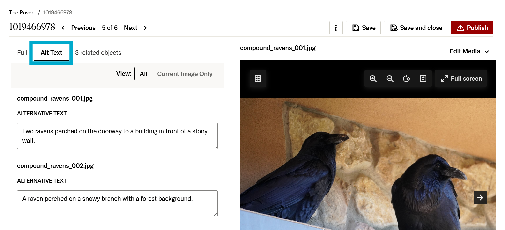 Multiple alt text fields for a compound image