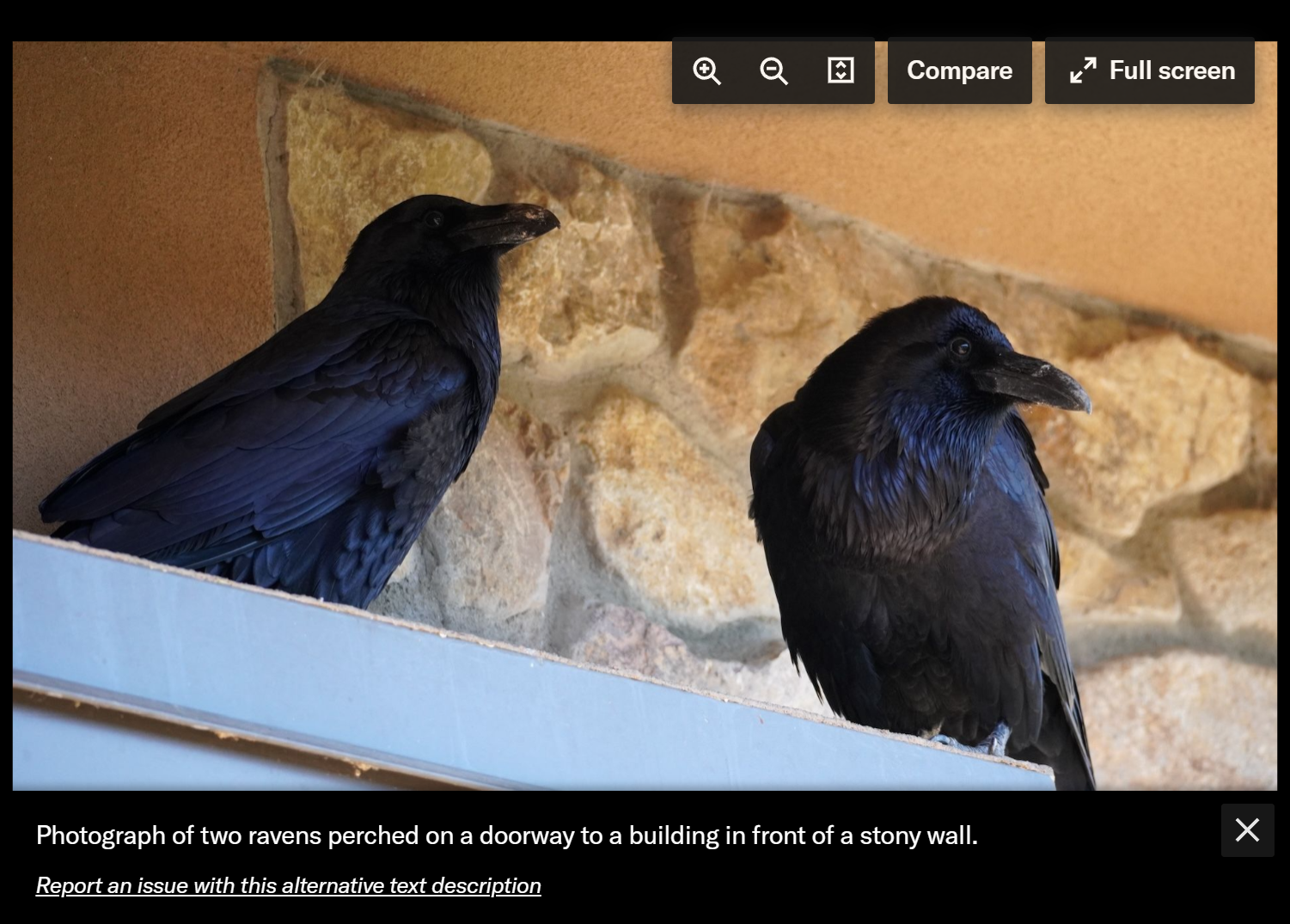 An example of alt text displayed in an IIIF image viewer on JSTOR